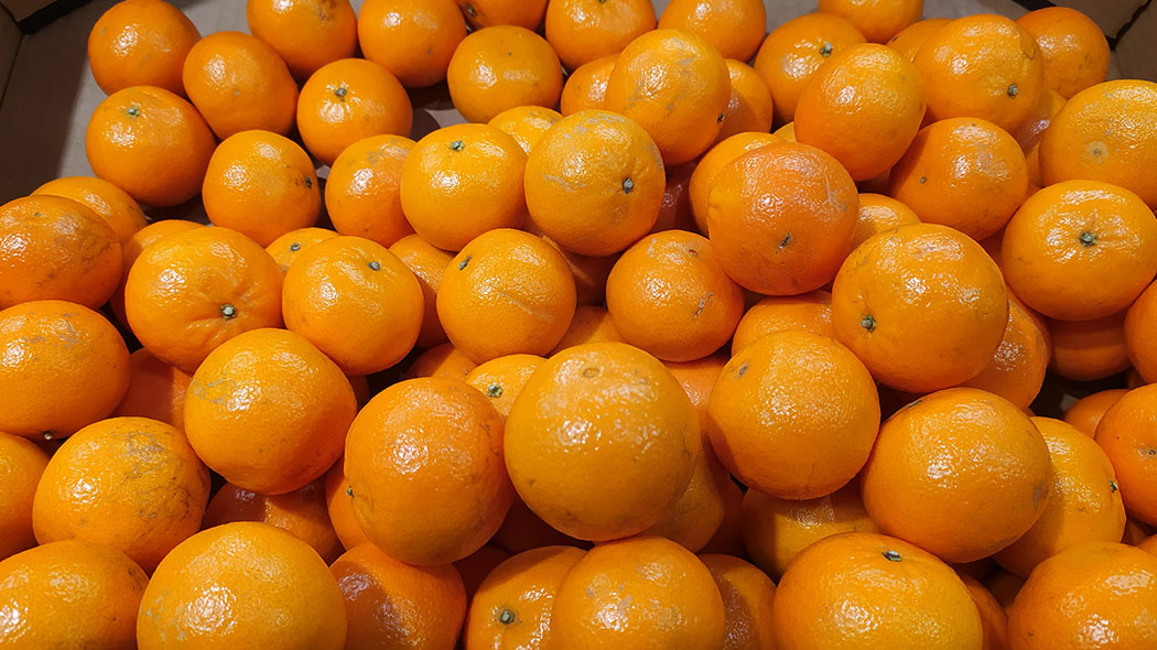 Диетолог Русакова: нужно употреблять цитрусовые, бананы и творог для ...