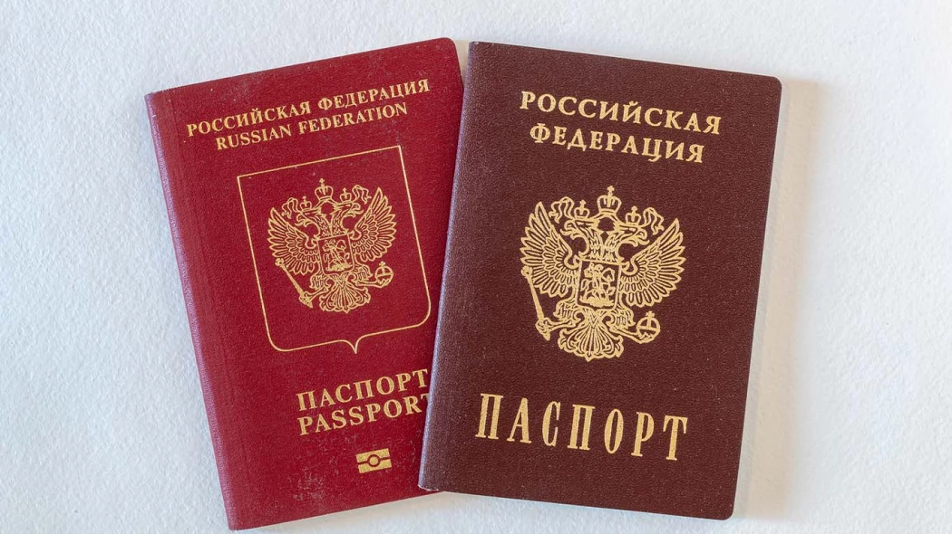 МИД: порядок выдачи загранпаспортов в РФ в связи с частичной ...