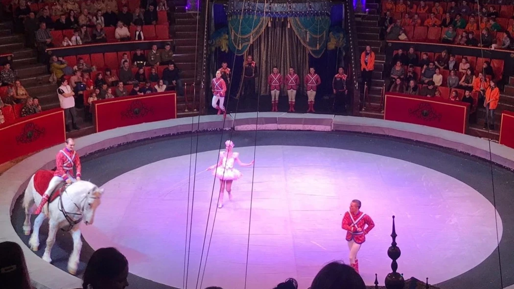 В Барнауле артистка цирка сорвалась с высоты во время выступления